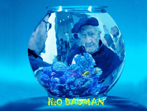 H2O Bauman